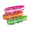 Collier Chien Phosphorescent 60 Cm 1 Collier Chien Phosphorescent 60 Cm -Chasse Équipement Magasin collier chien phosphorescent 60 cm