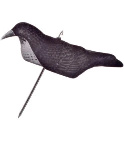 Corbeau Coque Magnum Floqué