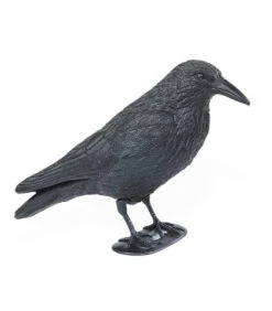 Corbeau Floqué