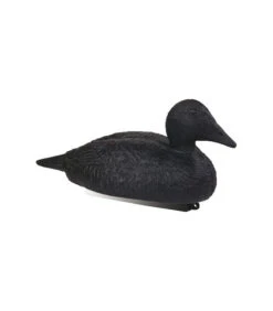 Eider Noir Moussé