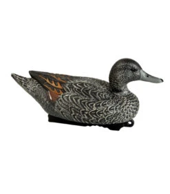 Forme Pilet Femelle HD