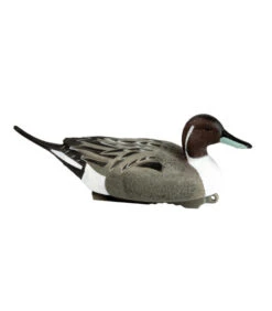 Forme Pilet Mâle HD