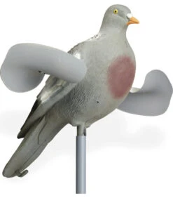 Pigeon Ailes Tournantes