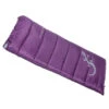 Sac De Couchage été Freetime Condor200 17°C/13°C/7°C -Chasse Équipement Magasin sac de couchage ete condor 200 17c violet