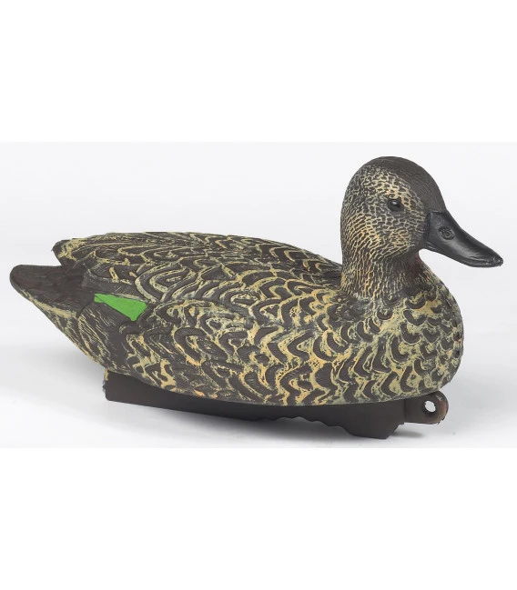 Sarcelle Femelle HD 3 Sarcelle Femelle HD