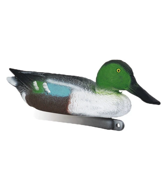 Souchet Mâle Moussé 3 Souchet Mâle Moussé